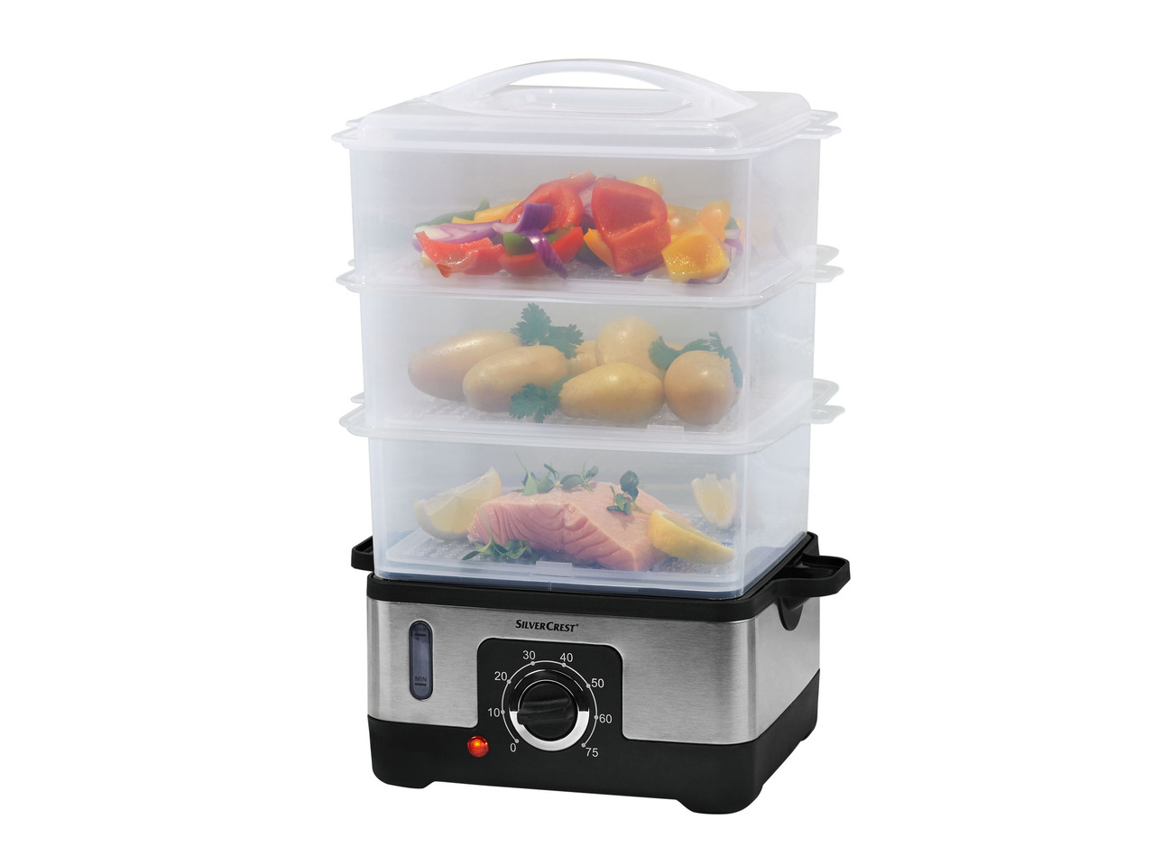 Electric Steamer