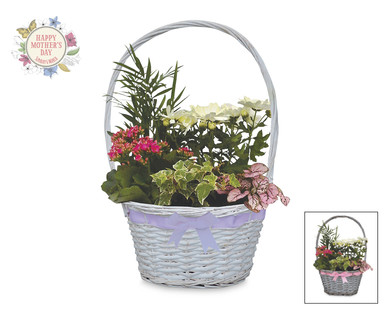 Premium Mother's Day Gift Basket