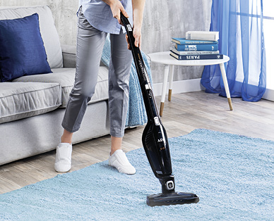 Aspirateur 2 en 1 Ergorapido AG 3103 AEG