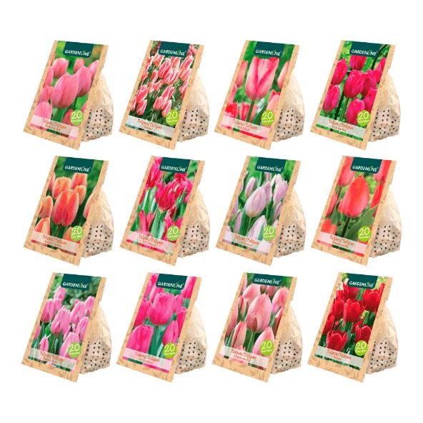 GARDENLINE(R) Tulpenzwiebeln, 20 St.