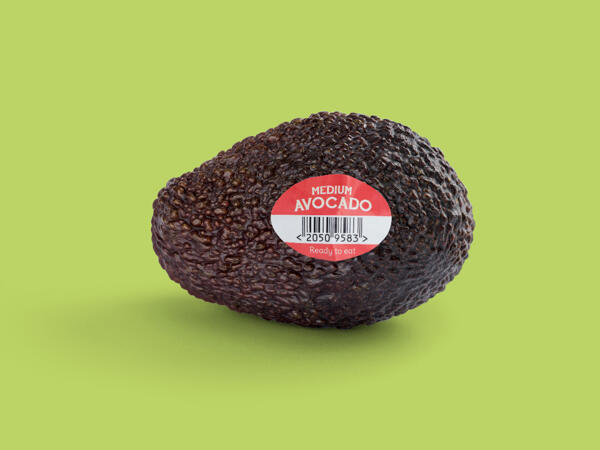 Medium Avocado