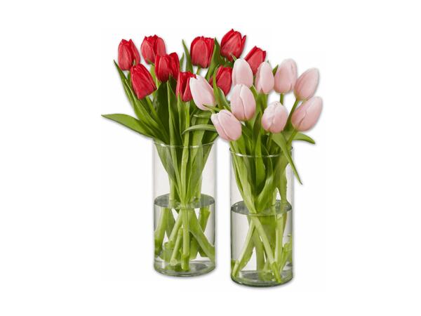Tulpenstrauß einfärbig