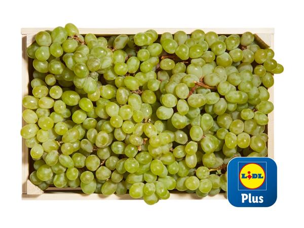 Raisin blanc