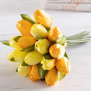 Deko-Tulpenbund