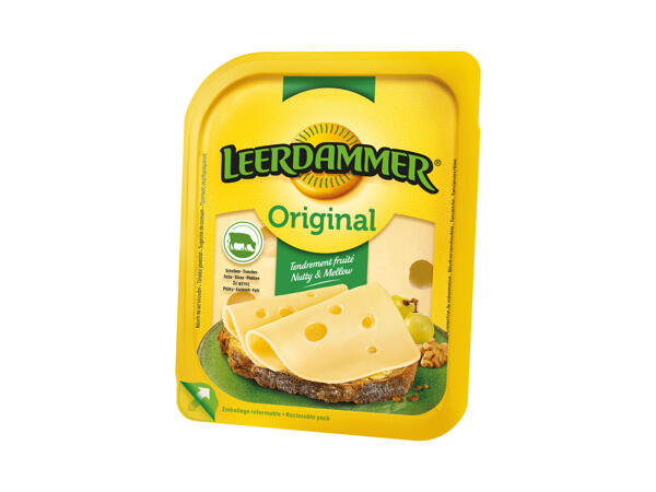 LEERDAMMER