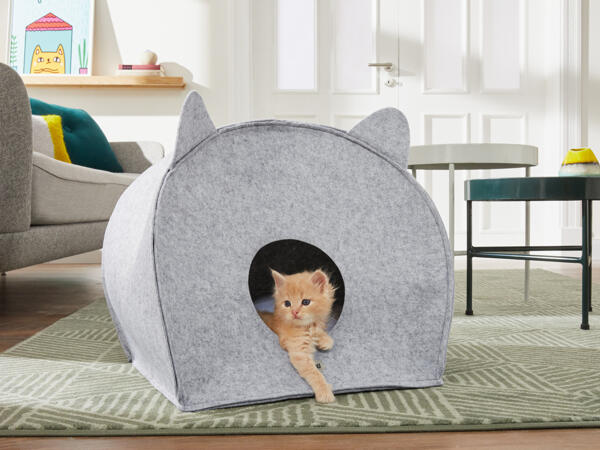 Niche pour chat