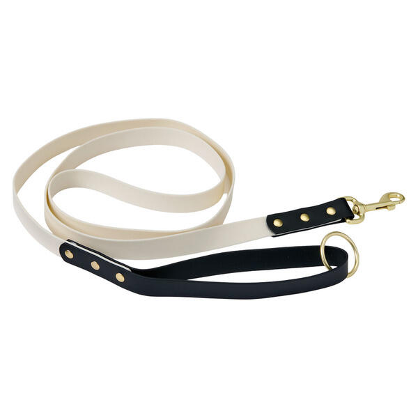 Heart to Tail Black Dog Leash