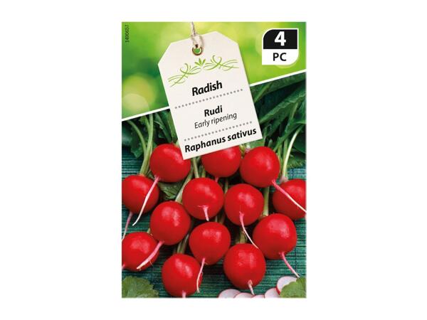 Premium Vegetable Seeds - labelled 4