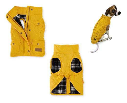 Heart to Tail
Pet Barn Coat