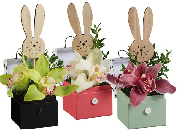Orchideengesteck Ostern 