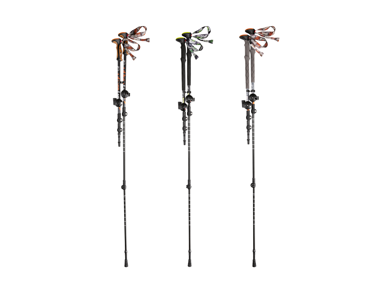Bâtons de randonnée en aluminium, lot de 2