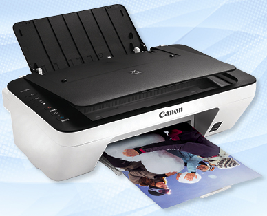 Stampante 3 in 1 PIXMA MG2950s CANON