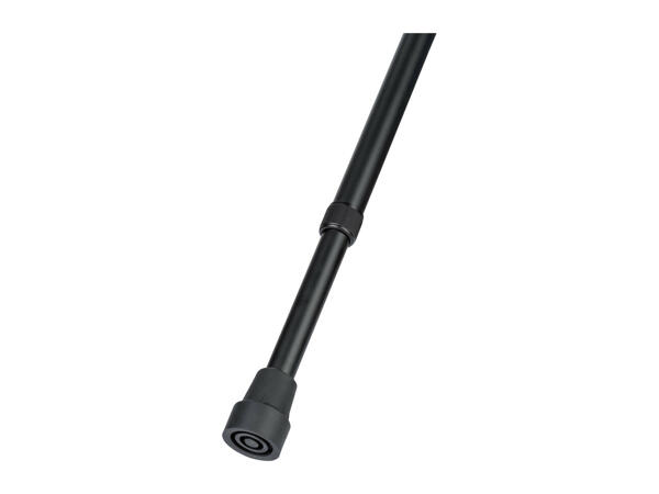 Ridder Walking Stick