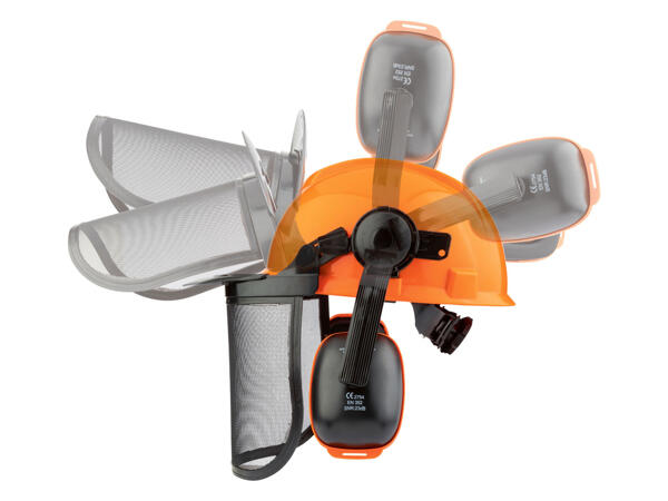 Forestry Safety Helmet