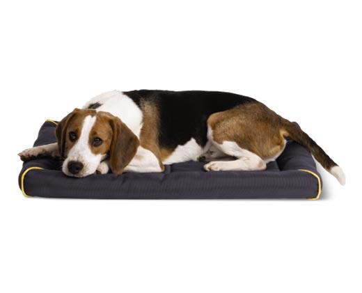 Heart to Tail 
 Bolstered Crate Mat