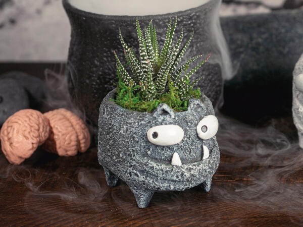 Grøn plante i Monsterkeramik