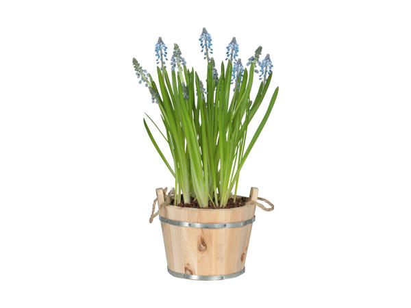 Blomstermiks i træspand