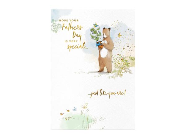 Premium Father's Day Card Assortment
