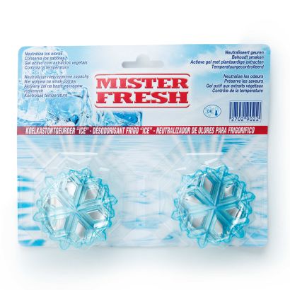 Neutralisateur d'odeur pour réfrigérateur, 2 pcs