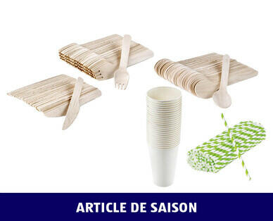 BBQ 
 ARTICLES À USAGE UNIQUE EN CARTON/BOIS