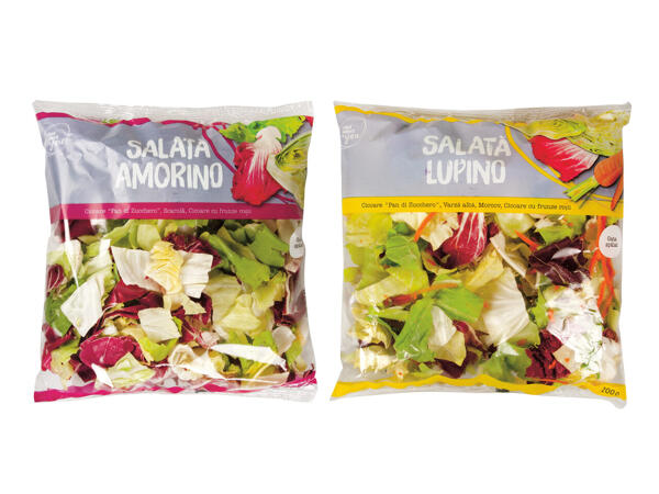 Mixuri salate Lupino / Amorino