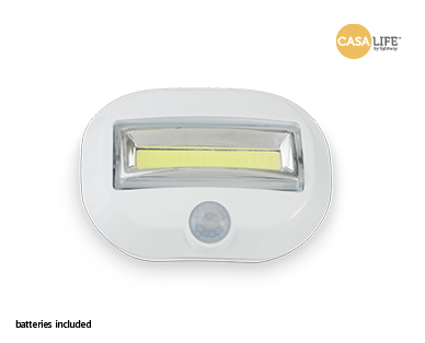 LED Rite Light Or Led Motion Sensor