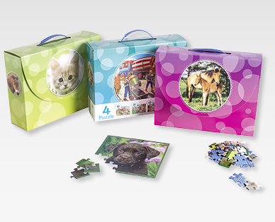 Puzzle dans une mallette