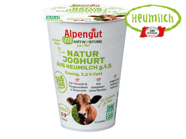 Heumilch Naturjoghurt