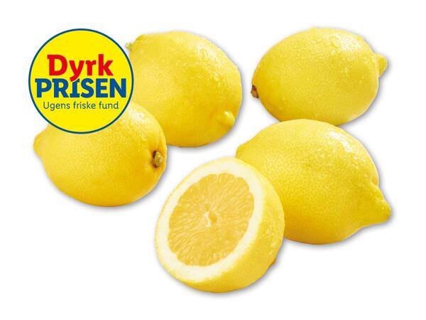 Økologiske citroner