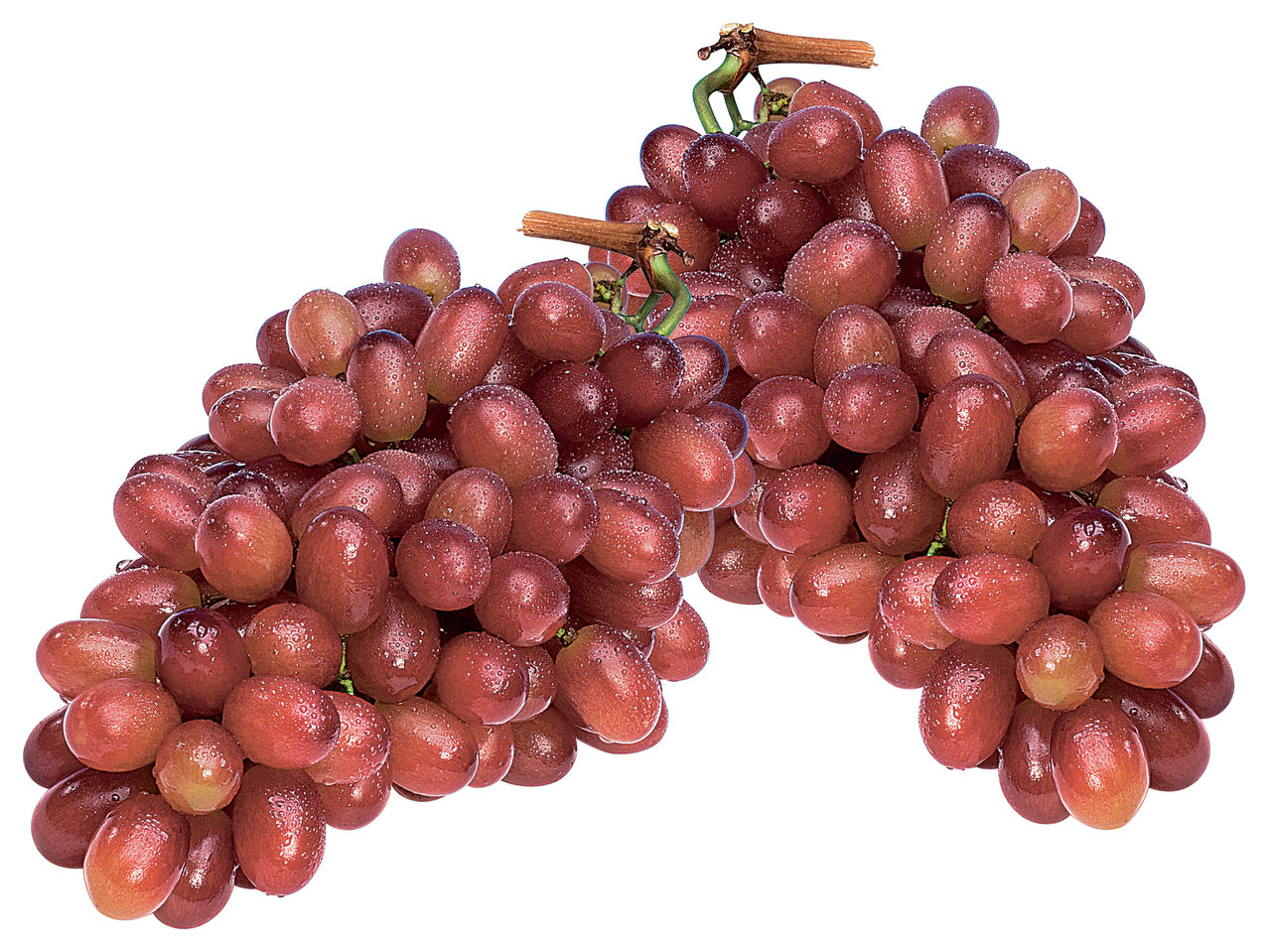 Trauben rot