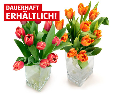 Tulpen