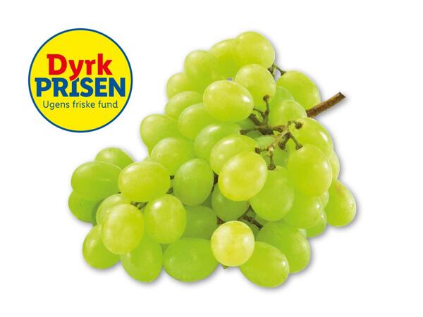 Grønne stenfri vindruer