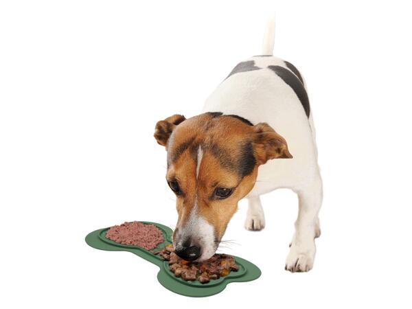 Lick Mat/ Bowl