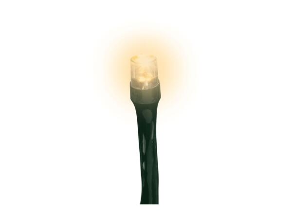 Livarno Home 50 LED String Lights
