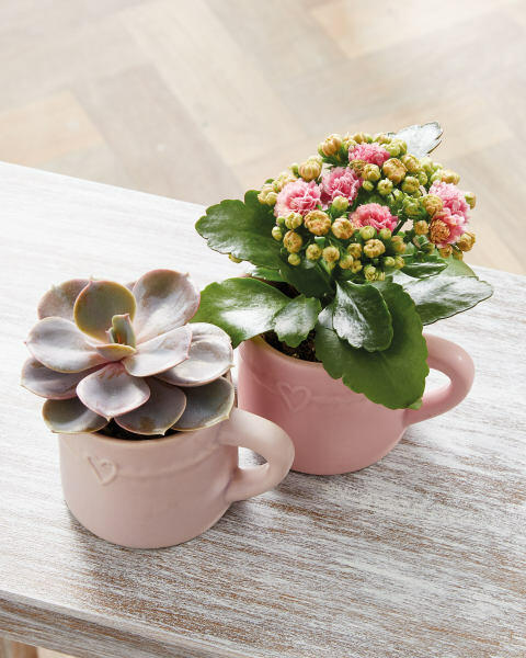 Beautiful Blooms Mini Milk Jug