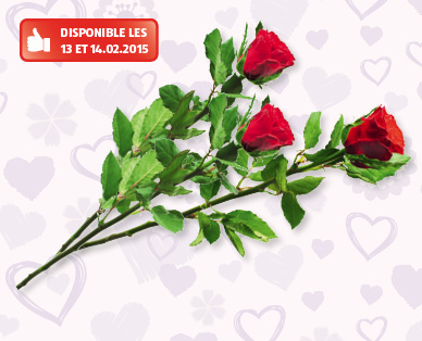 Roses de la Saint-Valentin