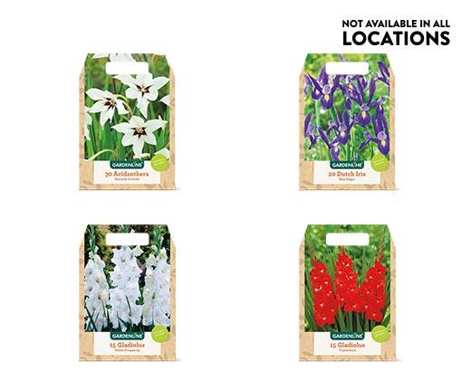Gardenline Spring Bulbs Assorted Varieties