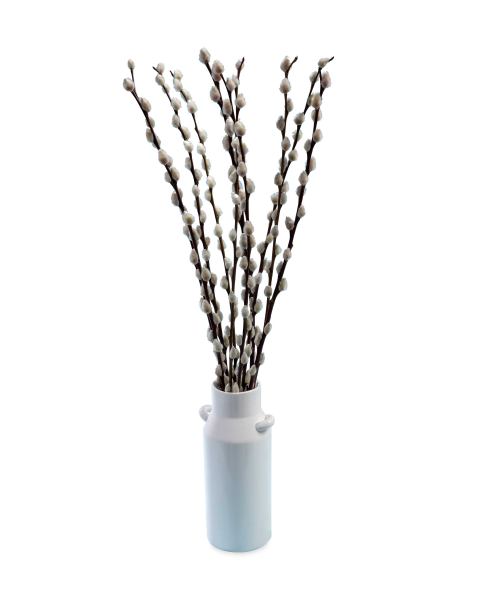 Blathanna Pussy Willow Bunch