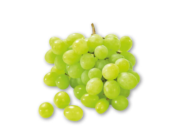 Grappoloni- eller Red Globevindruer