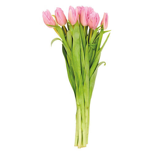 10 Stem Tulip Bouquet - Assorted Colors
