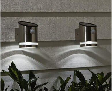 Solar Step or Wall Light 