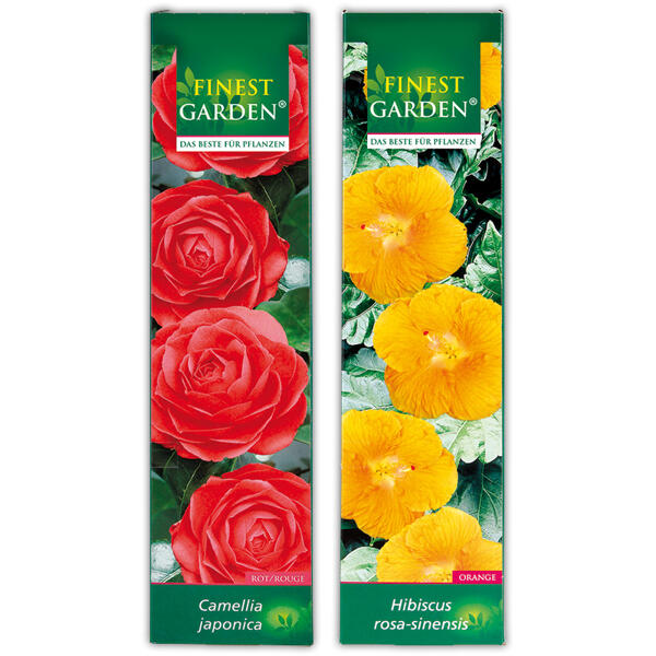 Blühende Gartenraritäten