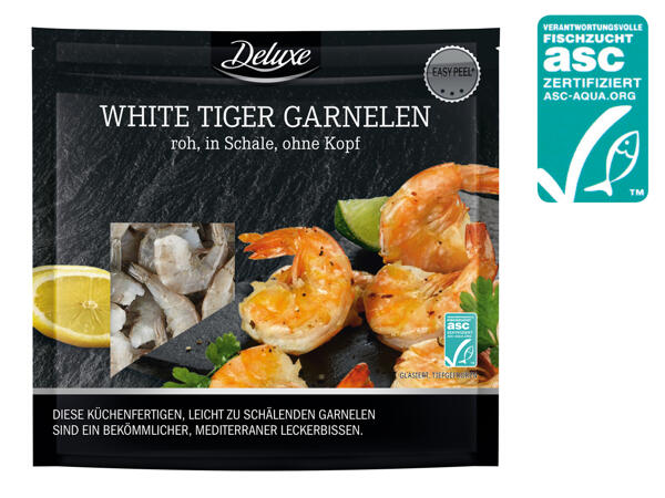ASC White Tiger Garnelen