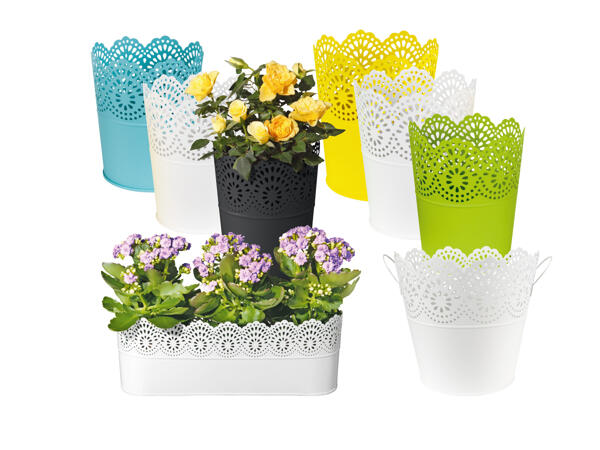 Blomkruka