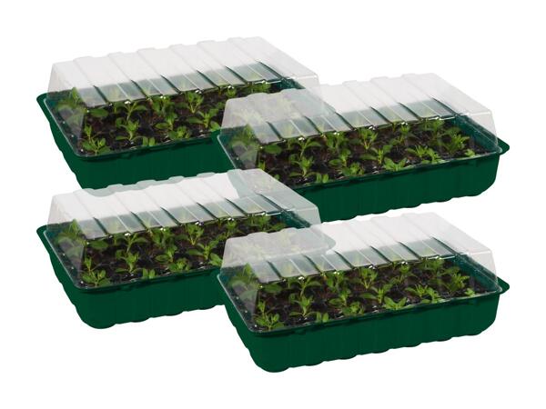 Anzuchtkasten-Set, 4er