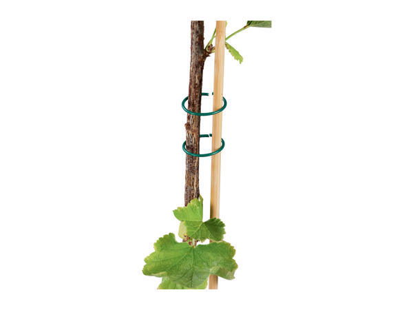 Parkside Planting Accessories Assortment
