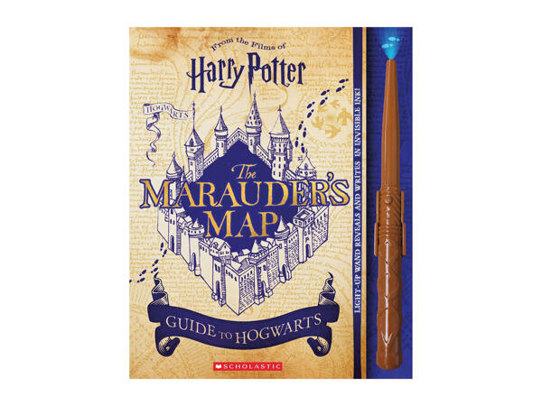 Scholastic Harry Potter Book with Magic Wand