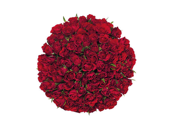 100 Red Roses