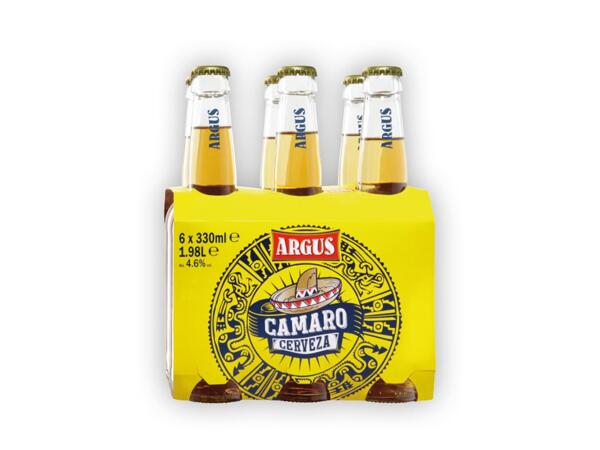 Argus Mexican Beer