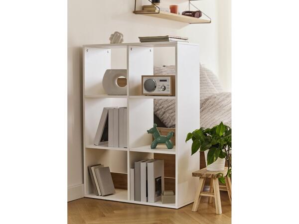 Shelving Unit With 6 Compartments